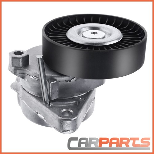 Tensioner pulley for - pulley,