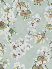 Designers Guild (John Lewis)