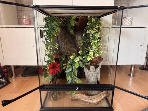 Terrarium reptile tank fully - terrarium,