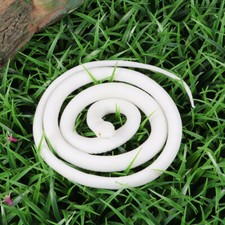 White Rubber Snake Snakes Realistic Halloween Simulation Toy Tricky Playthings