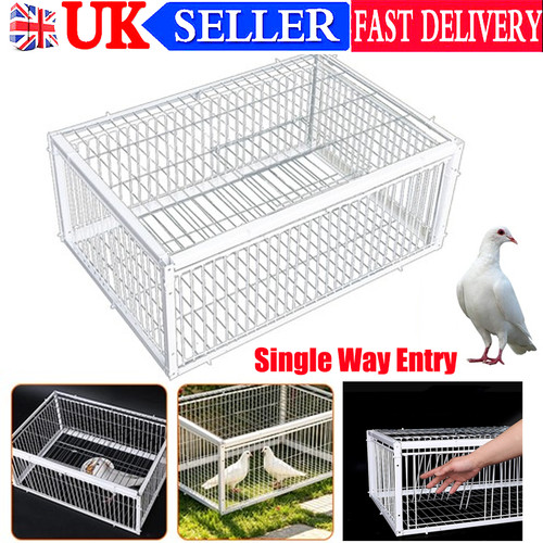 Pigeon trap cage portable - pigeon,
