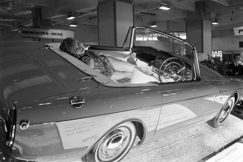 Sunbeam tiger motor show - tiger,