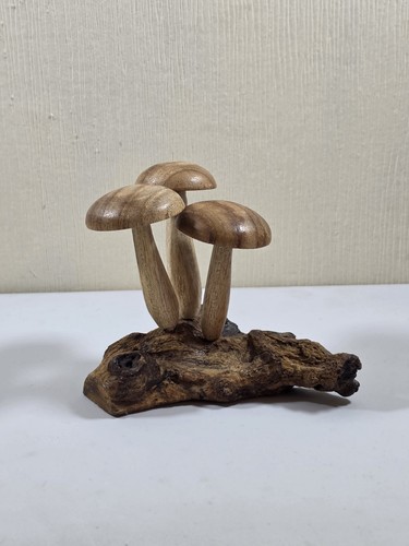Mushroom toadstools group - group, 3