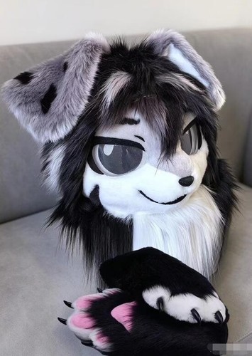 Fursuit long fur - fursuit, husky