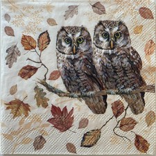 2 x cocktail paper napkins for