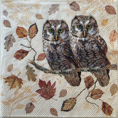 Cocktail paper napkins for - 2, x