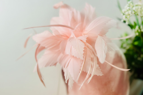 Elegant flower feather - elegant,