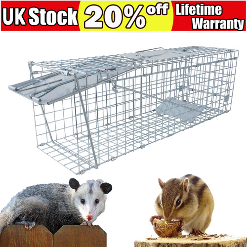 Rat trap squirrel mouse animal - mouse,