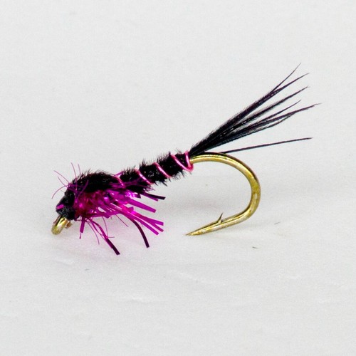 Special claret and black - 3,