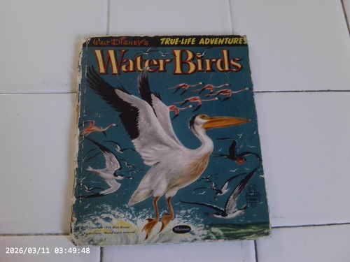 Water birds vintage - water,