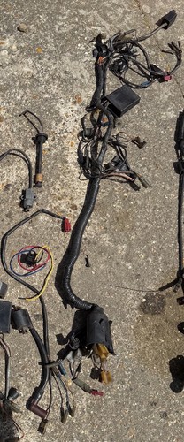 Yamaha 125r wiring harness - 125r,