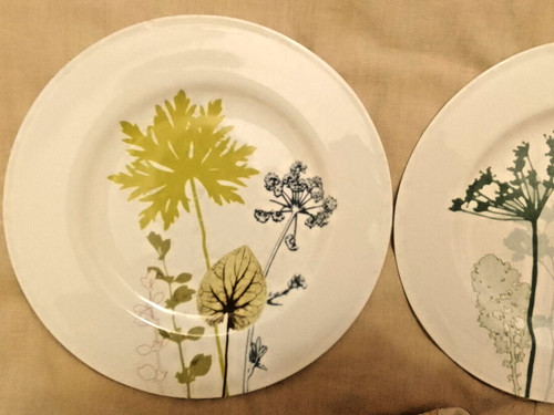 Stunning jersey pottery - stunning, plates