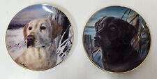 Pair Of Franklin Mint Limited Edition Golden & Black Labrador Porcelain Plates