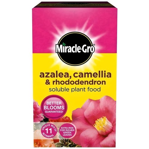Miracle gro ericaceous plant - gro,