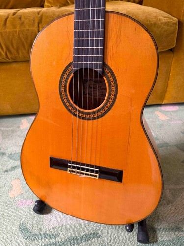 Hiroshi tamura cy150 - cy150, flamenco