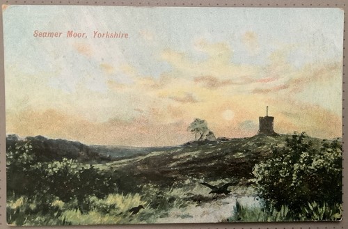 Seamer moor scarborough - moor,
