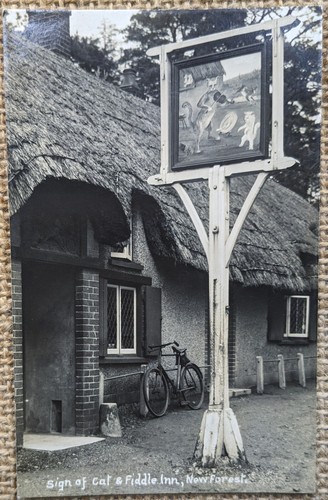 Cat fiddle inn sign hinton - &,