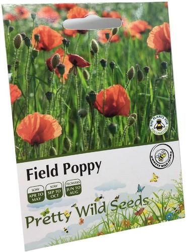 Red field poppy - field,