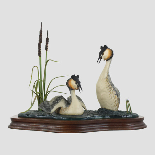Courting grebes border - grebes, fine