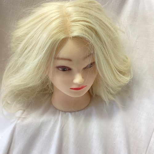 Female mannequin head model - mannequin,