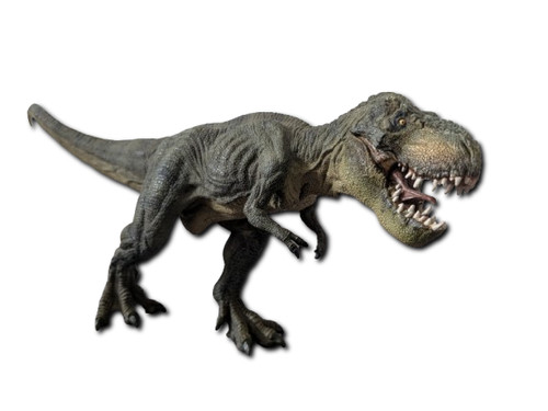 Rex tyrannosaurus - t-rex,