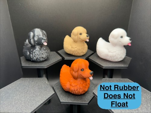 Golden retriever jeep duck - golden,