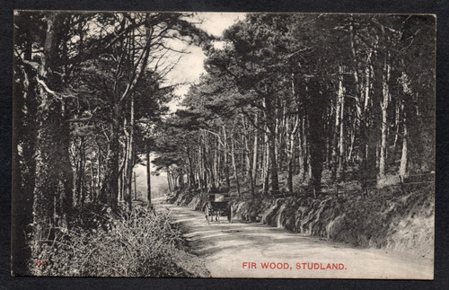 Postcard studland poole - studland, nr