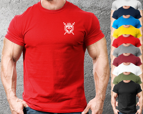 Phoenix shield swords gym - swords,