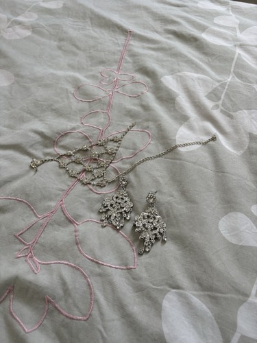 Silver long ear - silver, and
