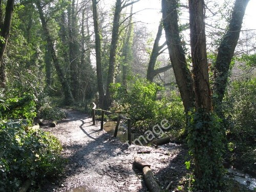 Photo 6x4 the river - 6x4,