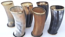 Set of 6 viking drinking horn