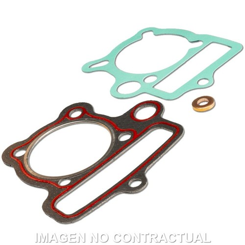Joints malossi cylinder 53 - joints,