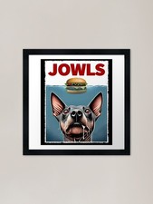 Funny american hairless - funny,