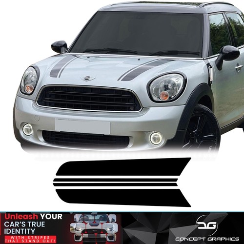 Bonnet stripe kit - kit, exact
