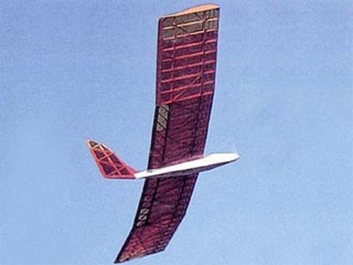 Condor flying wing - condor,