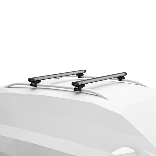 Thule roof rack - raised, rail