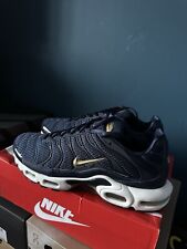 Nike Air Max Plus FFF Size 11