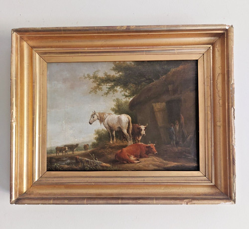 Fine horse cows - &, study
