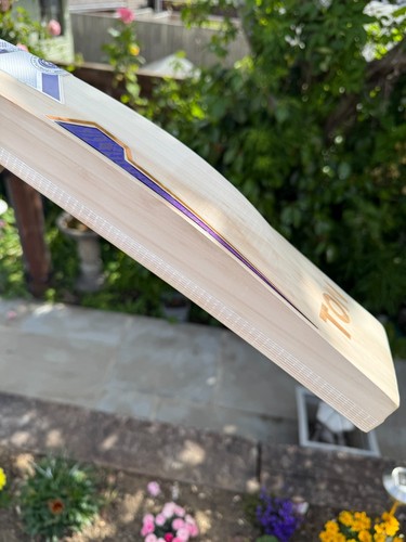 Ton sky fire - sky, cricket