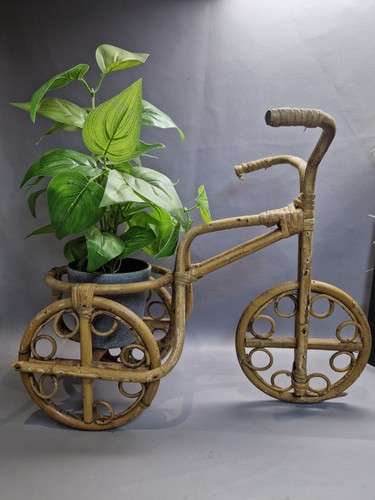Vintage bamboo cane - cane, bicycle