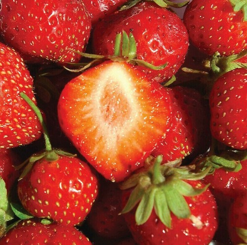 100 seeds strawberry mara - 100,