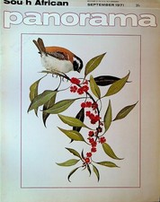 South African Panorama