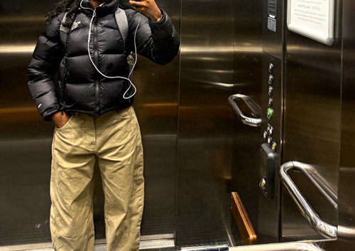 North face nuptse 700 - nuptse,