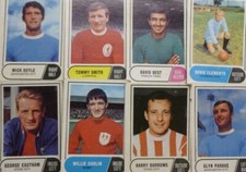 Football Facts Green Back