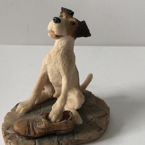Jack russell puppy - puppy,
