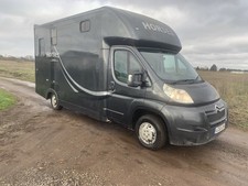 Citroen Relay Coachbuilt Horse