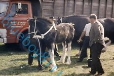 Horse & foal Horse Truck At