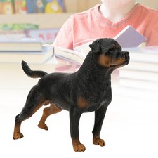 Rottweiler Simulation Model