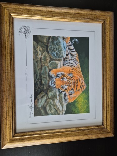 Stephen gayford ltd framed - gayford,