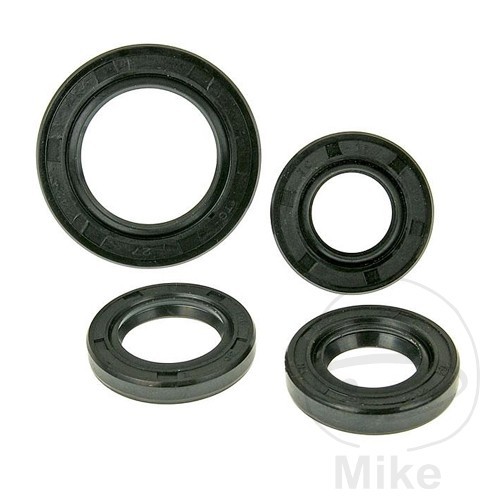 Motor seal set for baotian - seal,